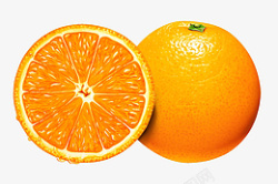 橙子橘子插图素材