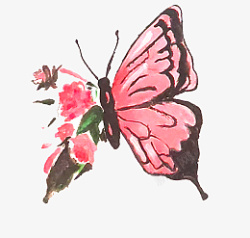 做旧色蝴蝶绘画做旧色高清图片