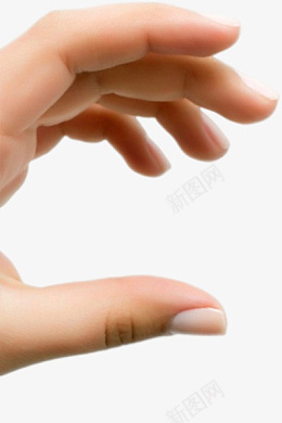 手手指食指手指头png免抠素材_新图网 https://ixintu.com 手 手指 食指 指头