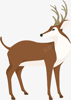 小麋鹿鹿圣诞节麋鹿傻狍子22高清图片
