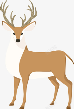 小麋鹿鹿圣诞节麋鹿傻狍子高清图片