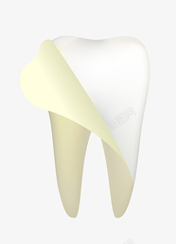 矢量白色黄色牙齿结构图元素图案素材