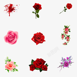 多种玫瑰花朵装饰图素材
