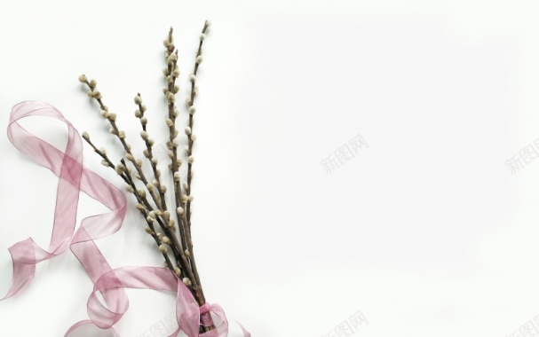 艺术  美丽的 摄影图片
