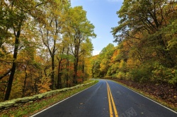 风景图公路秋天落叶下的公路风景图高清图片