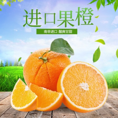 绿色清新新鲜橘子桔子橙子水果800800背景