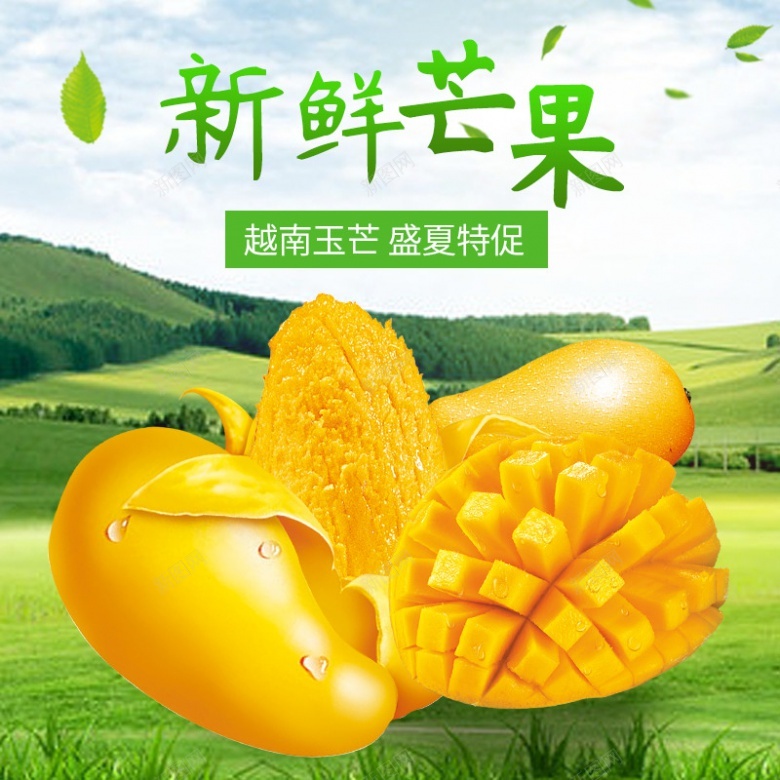 绿色清新新鲜芒果水果800800psd设计背景_新图网 https://ixintu.com 绿色 清新 新鲜 芒果 水果