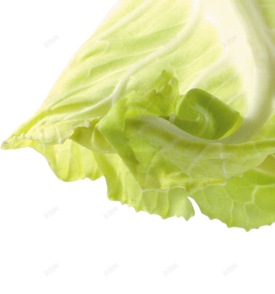 新鲜的蔬菜白花菜图片png免抠素材_新图网 https://ixintu.com   白花菜 十字花科蔬菜 新鲜的 菜花 食物