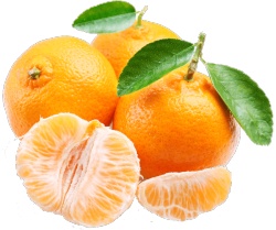 新鲜水果橘子配图素材