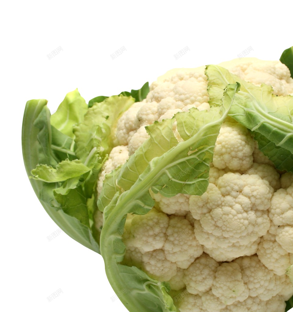 花椰菜菜花png免抠素材_新图网 https://ixintu.com 花椰菜 菜花