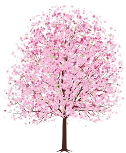 樱花素材