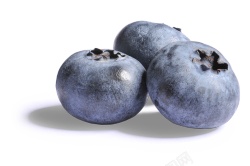 blueberry越橘蓝色浆果蓝莓blueberry的复数高清图片