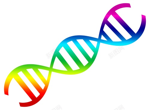 脱氧核糖核酸基因png免抠素材_新图网 https://ixintu.com 基因 脱氧核糖核酸