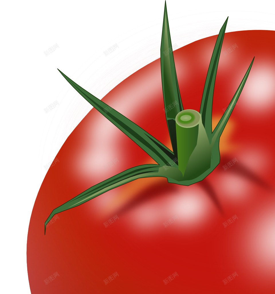 番茄西红柿png免抠素材_新图网 https://ixintu.com 番茄 西红柿