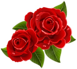 手绘玫瑰花花朵花束鲜花水彩绘画素材