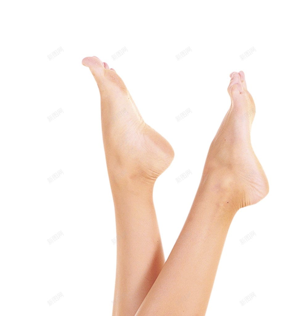 腿动物的腿png免抠素材_新图网 https://ixintu.com 动物的腿 腿