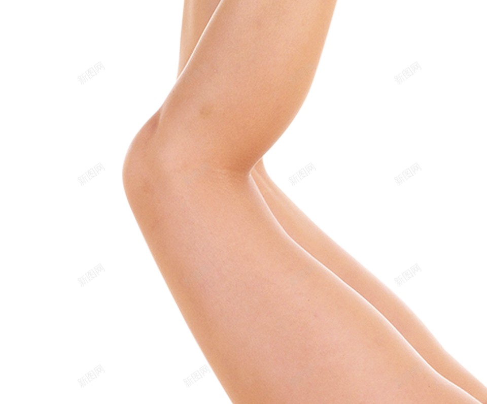 腿动物的腿png免抠素材_新图网 https://ixintu.com 动物的腿 腿