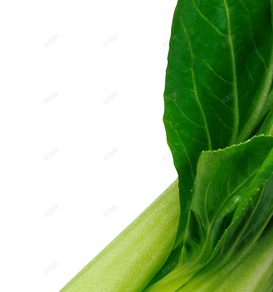 蔬菜色拉蔬菜沙拉png免抠素材_新图网 https://ixintu.com 减肥餐 蔬菜沙拉 蔬菜色拉
