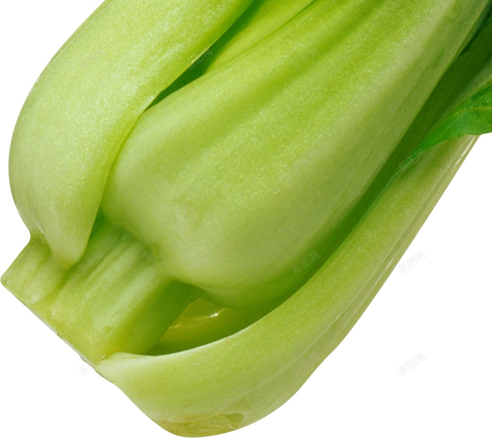 蔬菜色拉蔬菜沙拉png免抠素材_新图网 https://ixintu.com 减肥餐 蔬菜沙拉 蔬菜色拉