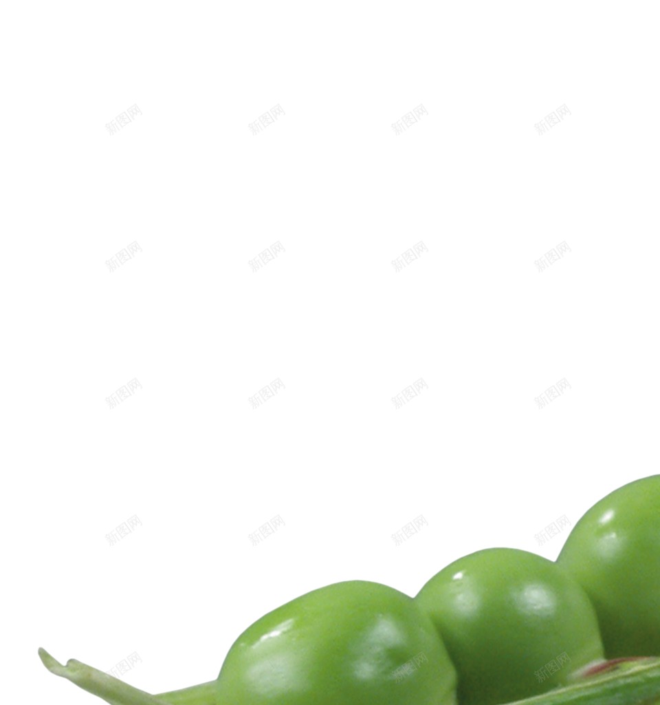 豌豆豌豆粒png免抠素材_新图网 https://ixintu.com 豌豆 豌豆粒