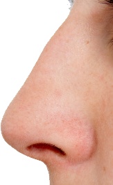 鼻鼻子素材