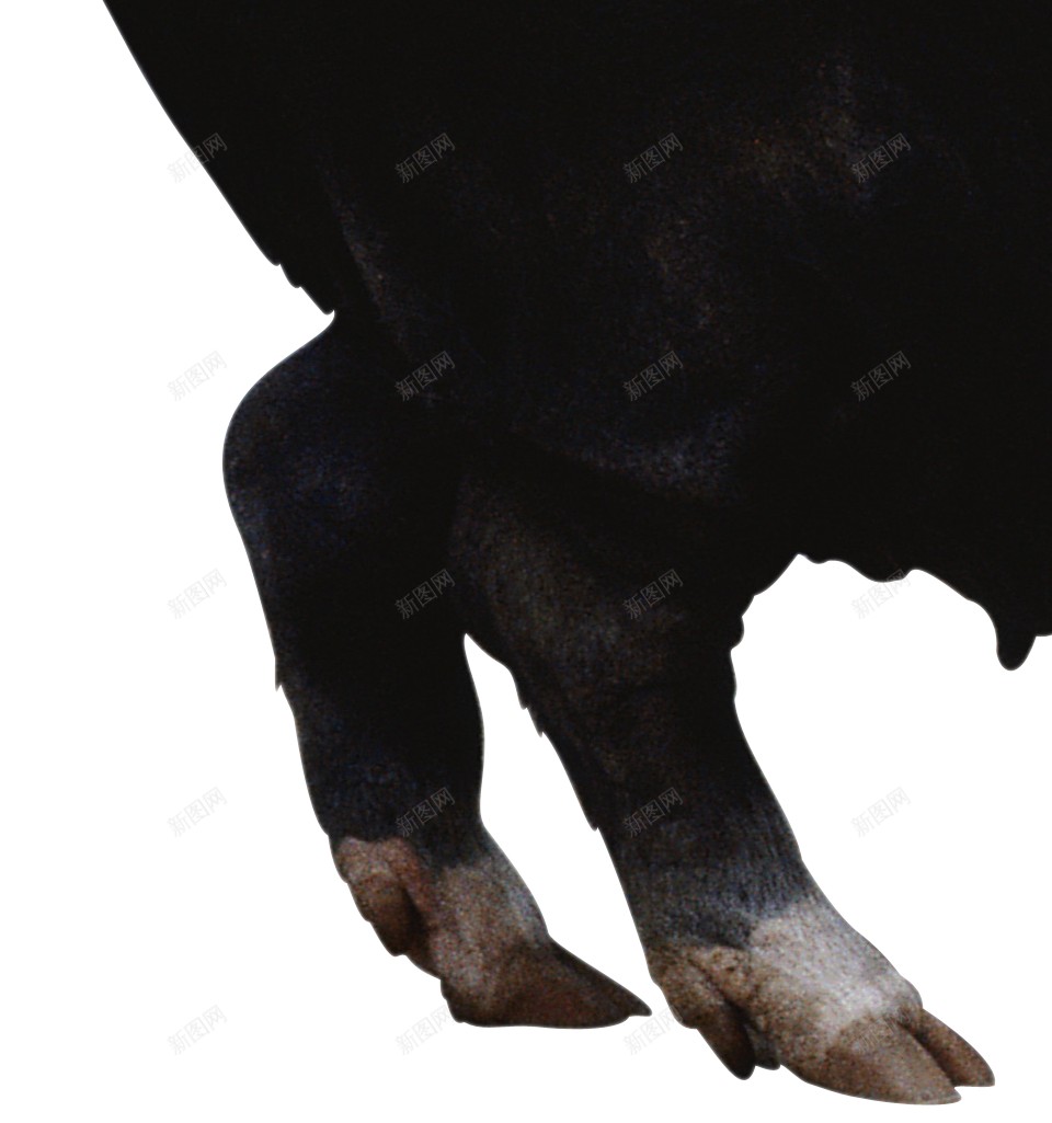 猪大肥猪png免抠素材_新图网 https://ixintu.com 猪 小猪 肥猪 动物 哺乳动物 牲畜 农村 农业