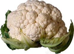 十字花科蔬菜新鲜的蔬菜白花菜图片高清图片