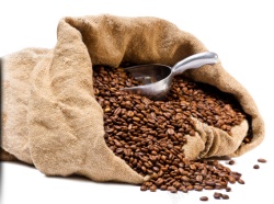 咖啡豆coffeebean的复数素材