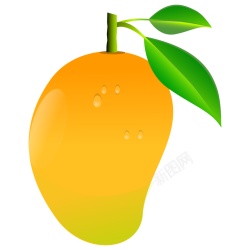 芒果素材