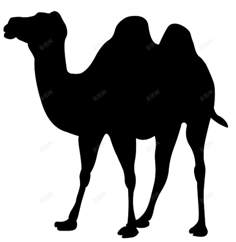 骆驼png免抠素材_新图网 https://ixintu.com 骆驼