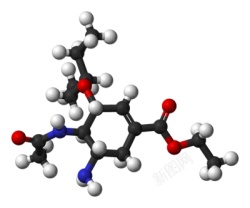 分子素材