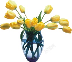 一瓶黄色鲜花装饰图素材
