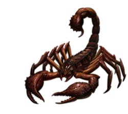 蝎子scorpion的复数素材