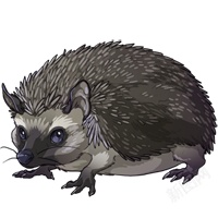 刺猬素材
