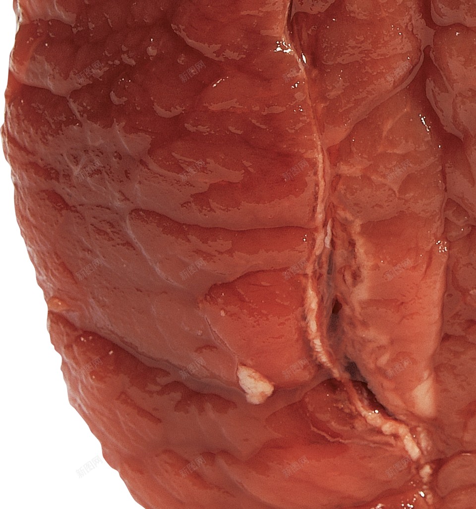 肉类食用肉png免抠素材_新图网 https://ixintu.com 肉类 食用肉