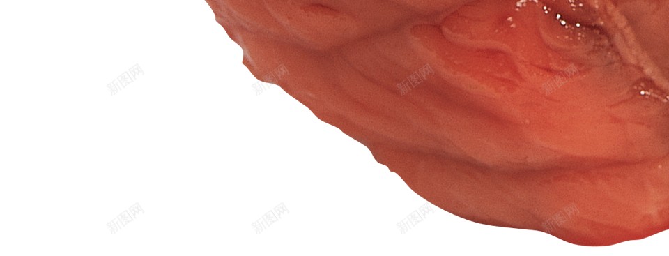 肉类食用肉png免抠素材_新图网 https://ixintu.com 肉类 食用肉