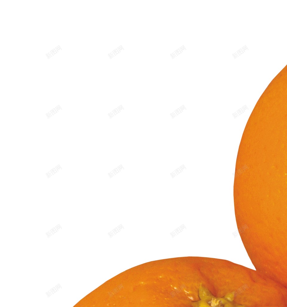 橙子柑橘png免抠素材_新图网 https://ixintu.com 柑橘 橙子