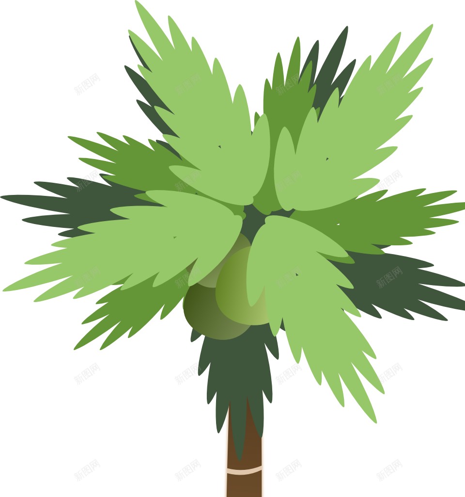 棕榈棕榈树png免抠素材_新图网 https://ixintu.com 棕榈 棕榈树