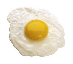 蛋卵素材