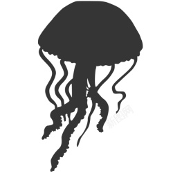 水母海蜇素材