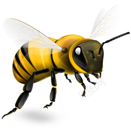 蜜蜂聚会png免抠素材_新图网 https://ixintu.com 聚会 蜜蜂