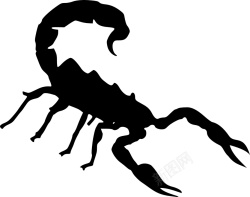 黄道第八宫天蝎宫素材