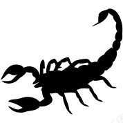 蝎子scorpion的复数png免抠素材_新图网 https://ixintu.com scorpion的复数 蝎子