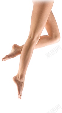腿动物的腿png免抠素材_新图网 https://ixintu.com 动物的腿 腿