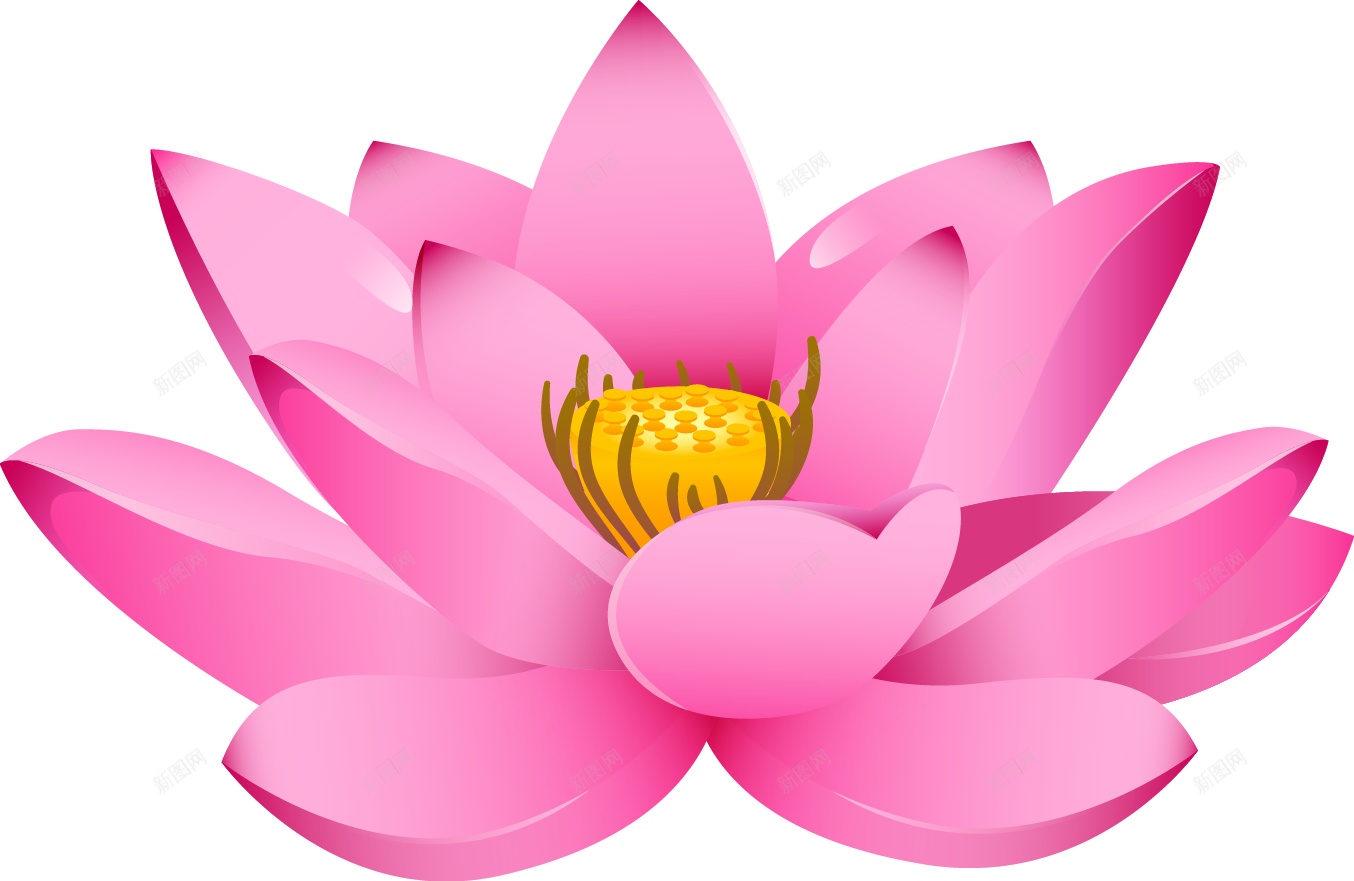 莲属植物莲花图案png图片免费下载 素材fisnvjwjp 新图网 莲属植物莲花图案png图片免费下载 素材fisnvjwjp 新图网