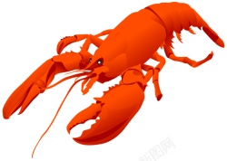 虾肉龙虾龙虾肉高清图片