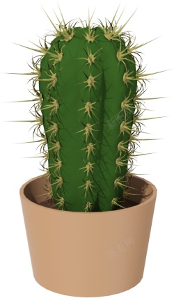 仙人掌科植物仙人掌素材