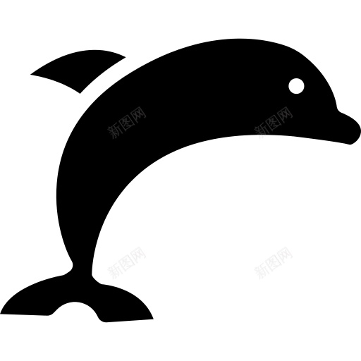 海豚png免抠素材_新图网 https://ixintu.com 海豚