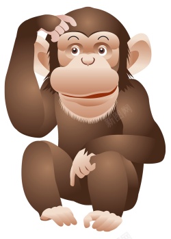 陆生顽皮可爱的猴子高清图片