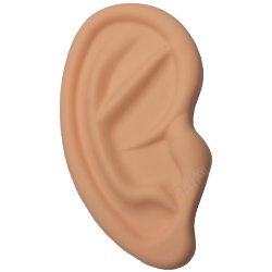 耳耳朵素材